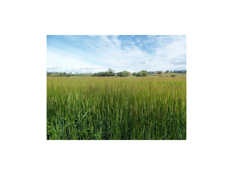 54 Meander Valley Road, Deloraine TAS 7304