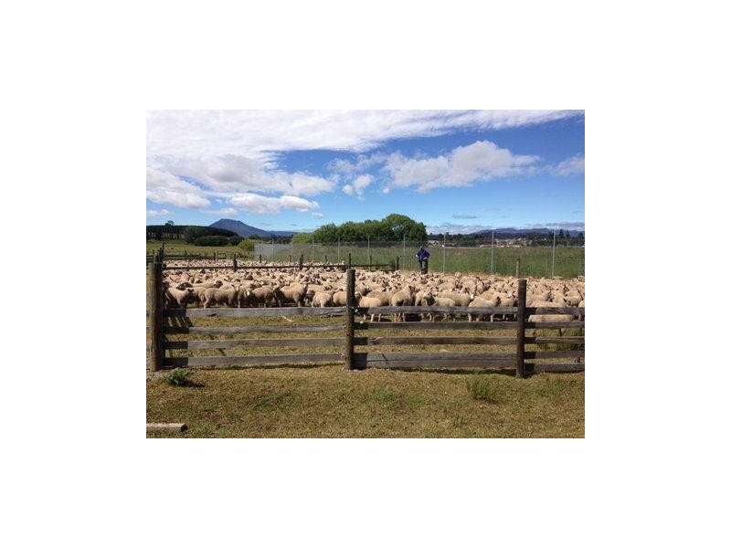 54 Meander Valley Road, Deloraine TAS 7304