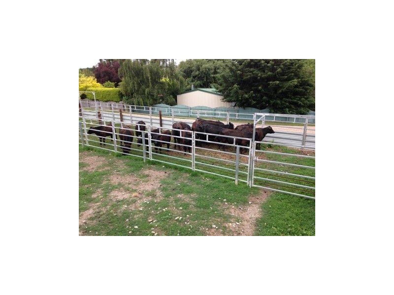 54 Meander Valley Road, Deloraine TAS 7304