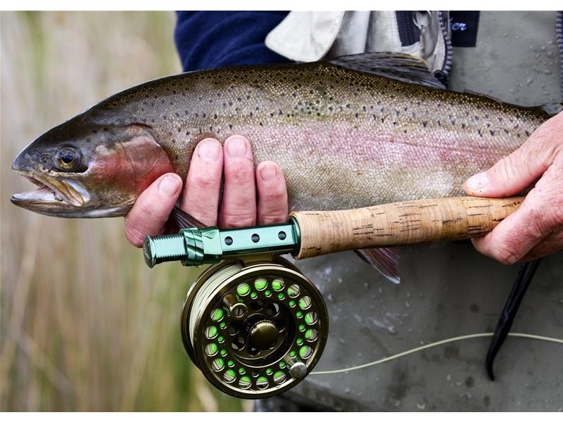 1204 Long Marsh Road, Lake Leake TAS 7210