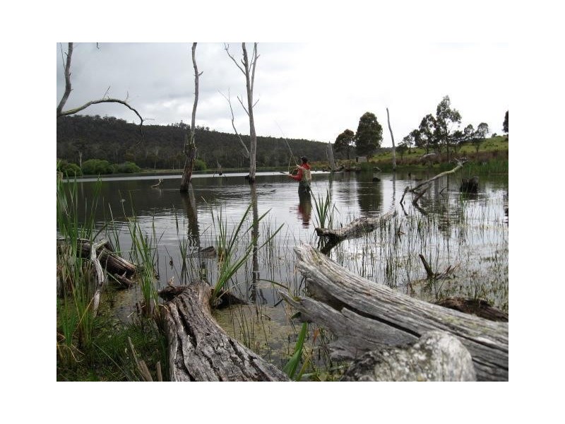 1204 Long Marsh Road, Lake Leake TAS 7210