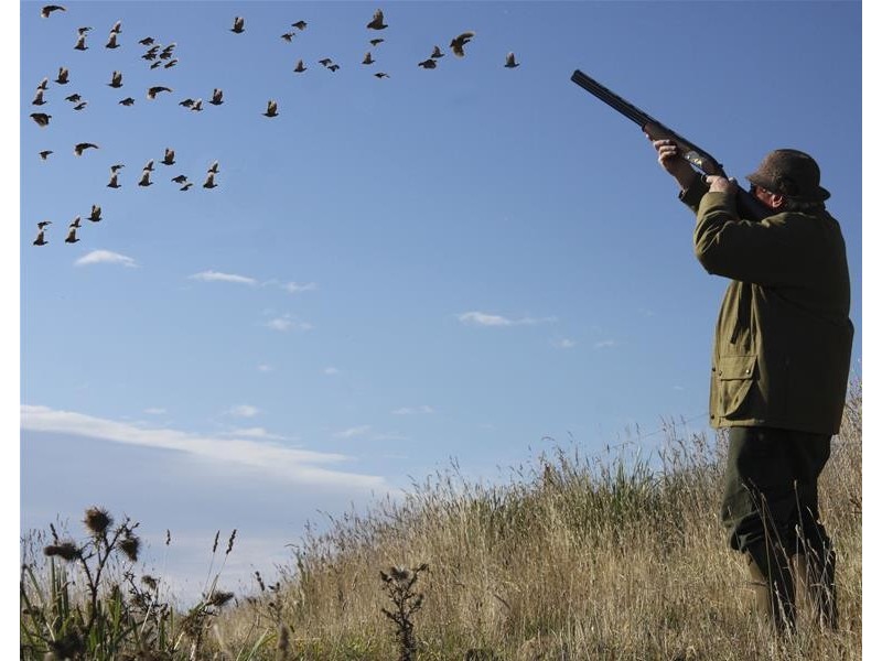 1204 Long Marsh Road, Lake Leake TAS 7210