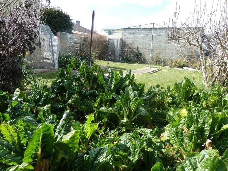 132 Emu Bay Road, Deloraine TAS 7304