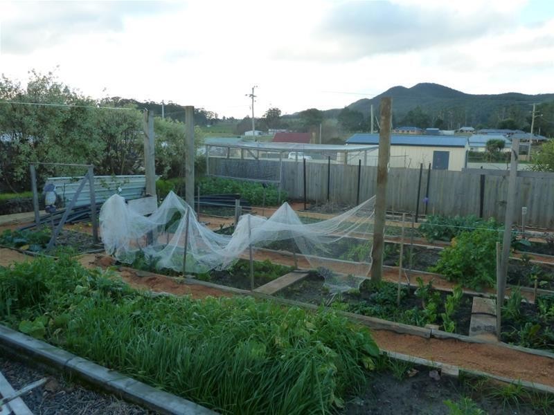 11 Johnson Street, Sheffield TAS 7306