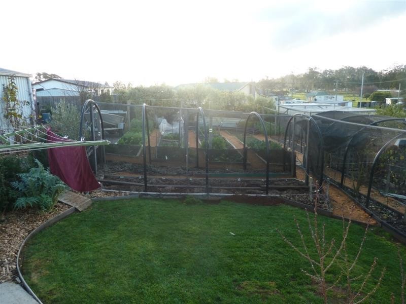 11 Johnson Street, Sheffield TAS 7306