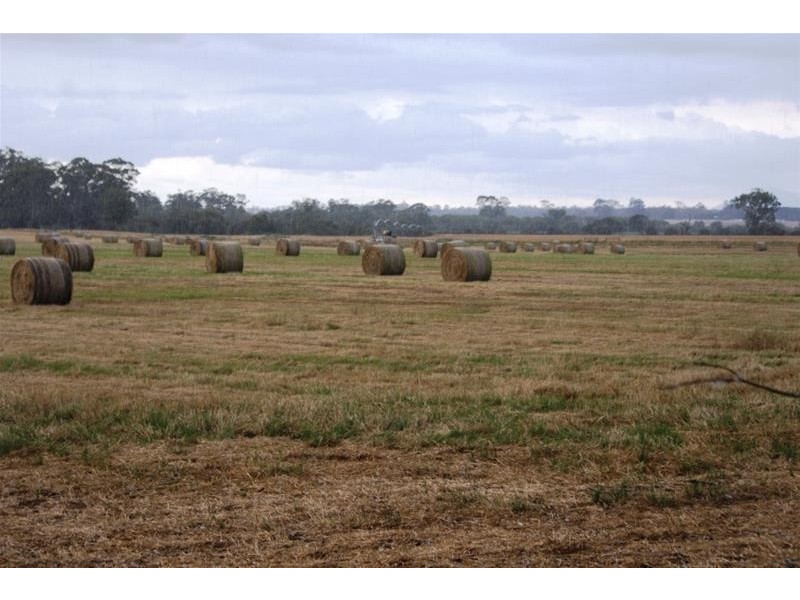 Lot 2, 145 Westwood Road, Carrick TAS 7291