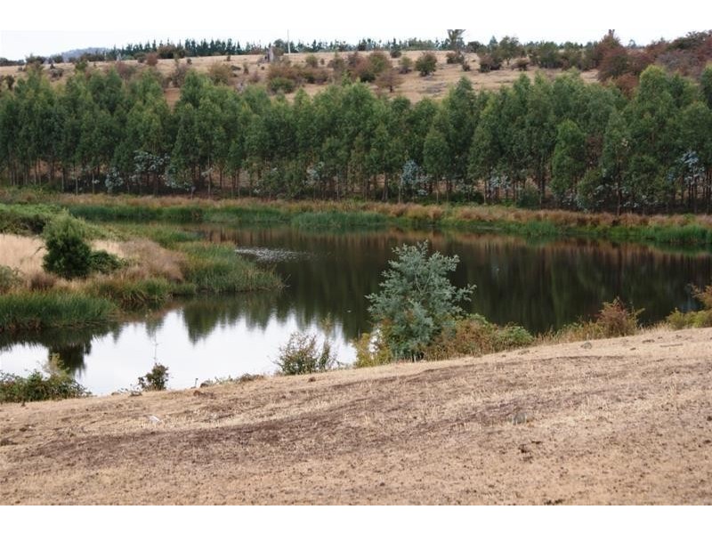 Lot 2, 145 Westwood Road, Carrick TAS 7291