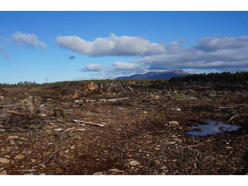 Lot 2  Gads Hill Road, Liena TAS 7304