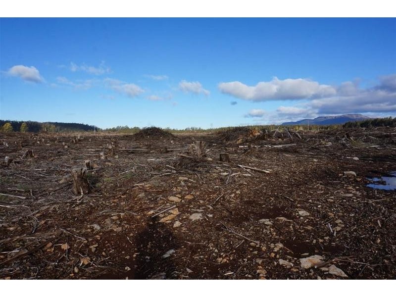 Lot 2  Gads Hill Road, Liena TAS 7304