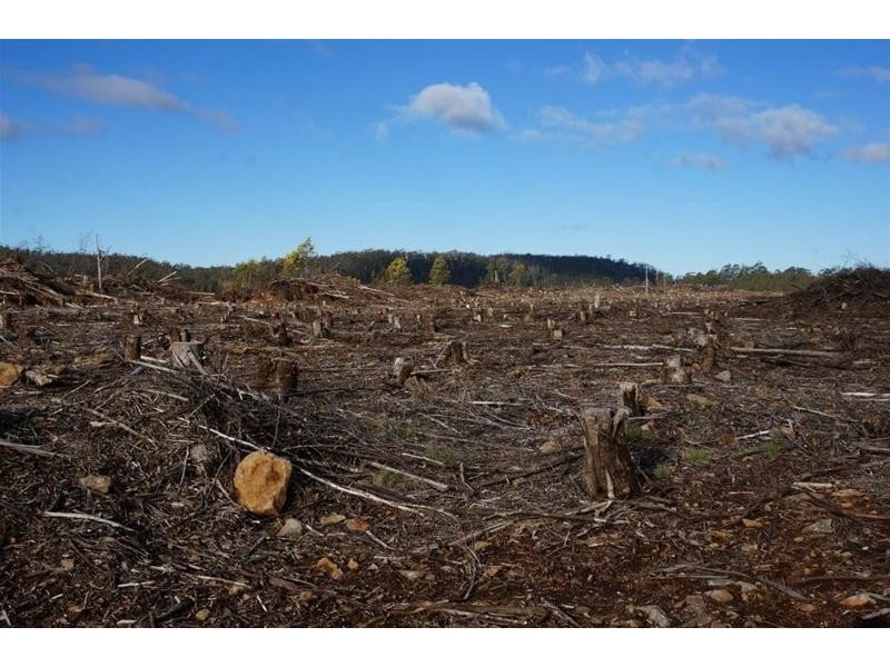 Lot 2  Gads Hill Road, Liena TAS 7304