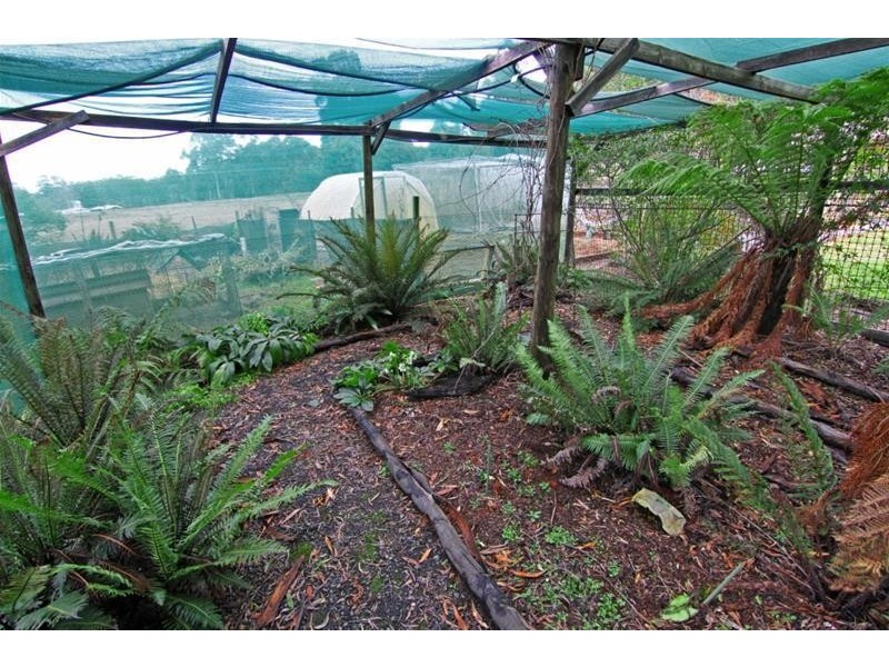 455 Weetah Road, Weetah TAS 7304