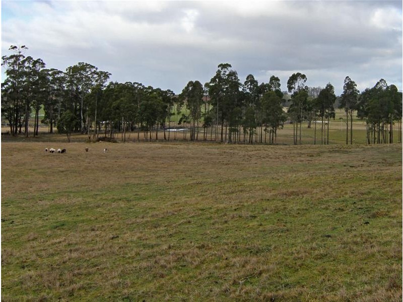 455 Weetah Road, Weetah TAS 7304