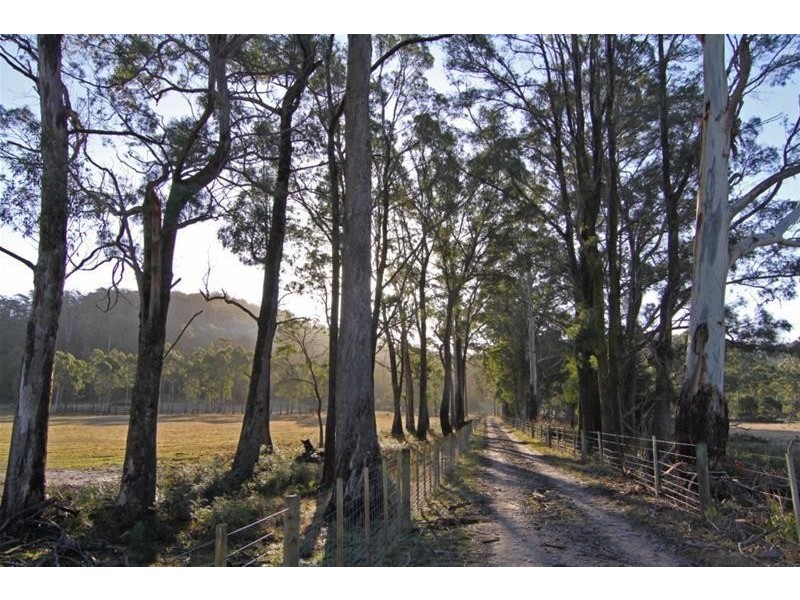 455 Weetah Road, Weetah TAS 7304