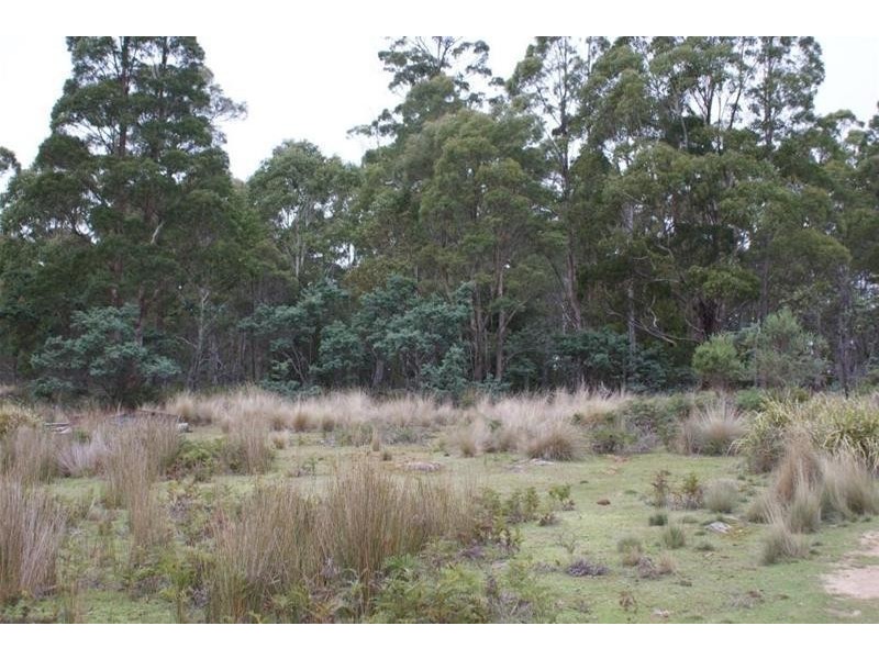 130 Farrells Road, Reedy Marsh TAS 7304