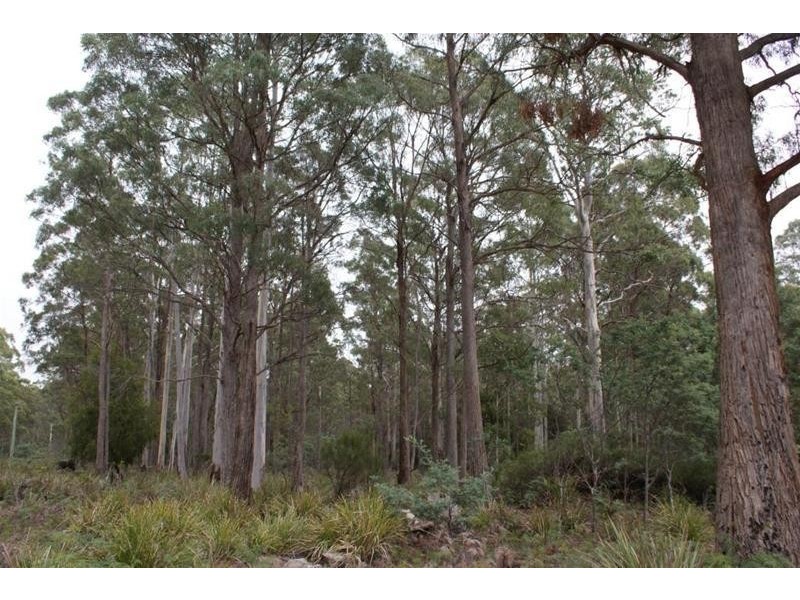 130 Farrells Road, Reedy Marsh TAS 7304