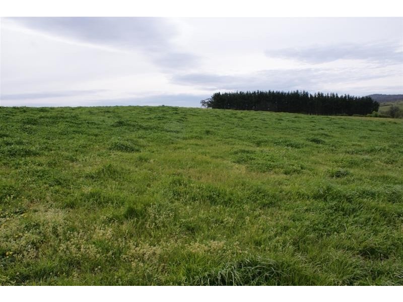 145 Westwood Road, Carrick TAS 7291