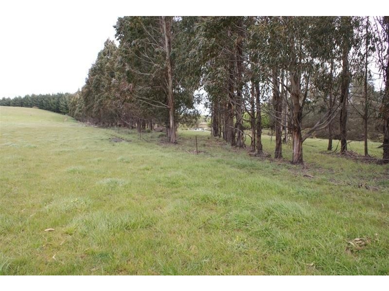 145 Westwood Road, Carrick TAS 7291