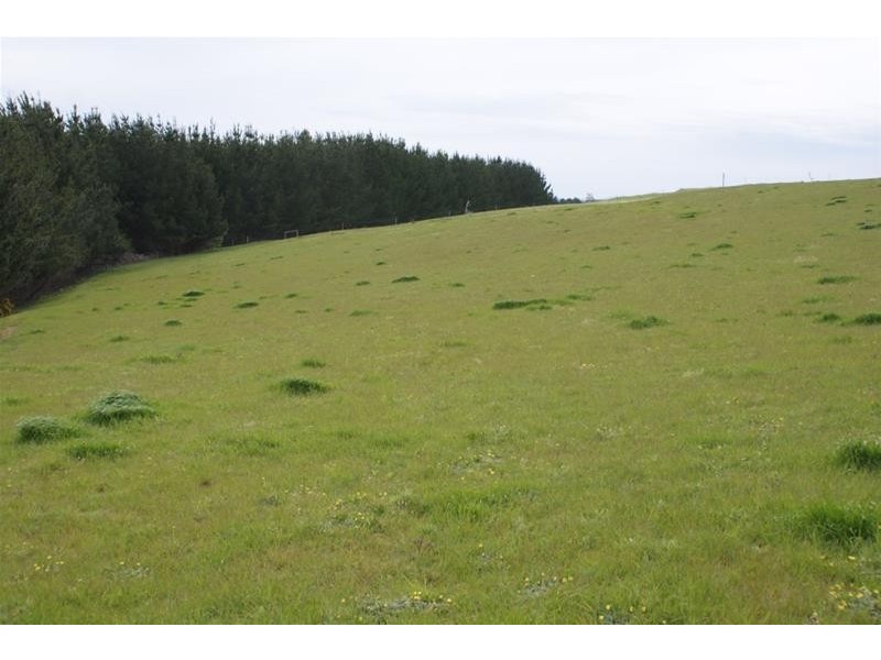 145 Westwood Road, Carrick TAS 7291