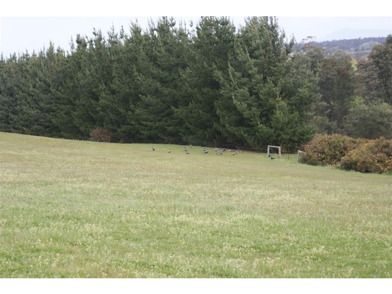 145 Westwood Road, Carrick TAS 7291