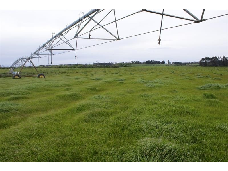 145 Westwood Road, Carrick TAS 7291