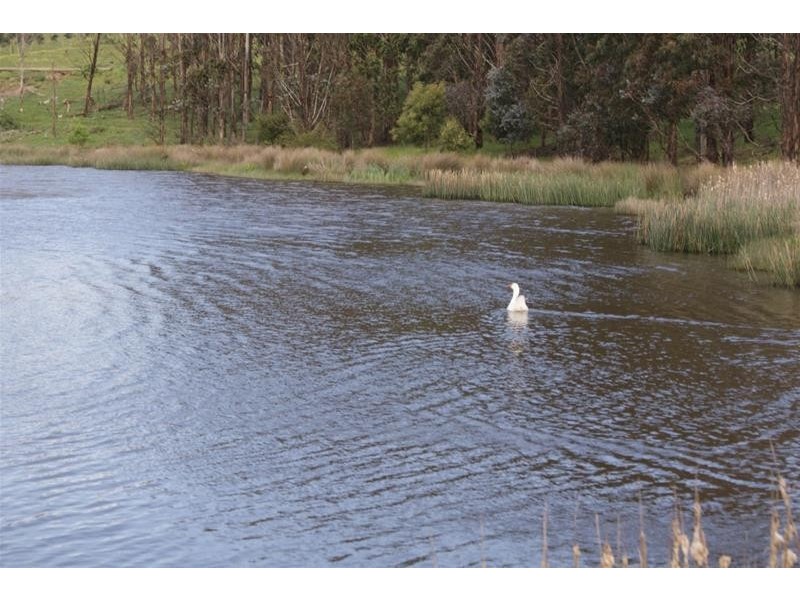 145 Westwood Road, Carrick TAS 7291