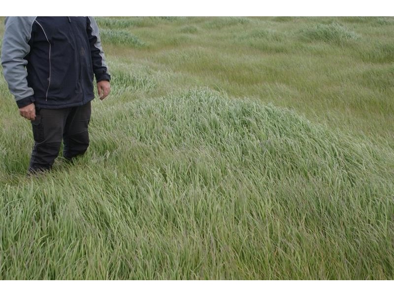 145 Westwood Road, Carrick TAS 7291