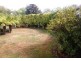 97 Emu Bay Road, Deloraine TAS 7304
