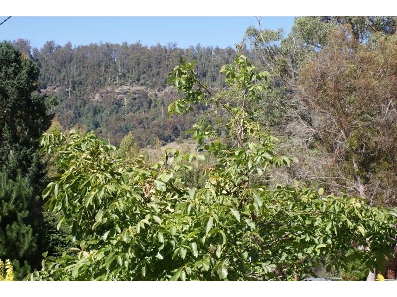 210 Old Gads Hill Road, Liena TAS 7304