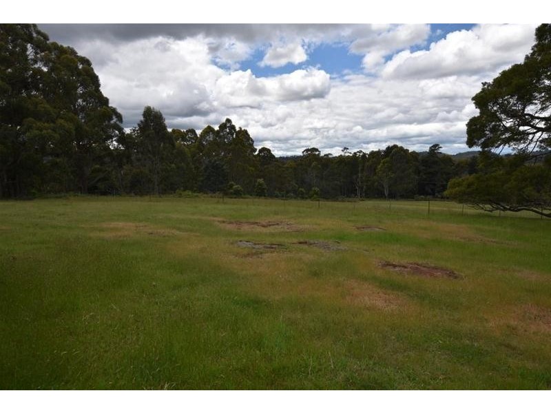 125 Wadleys Road, Reedy Marsh TAS 7304