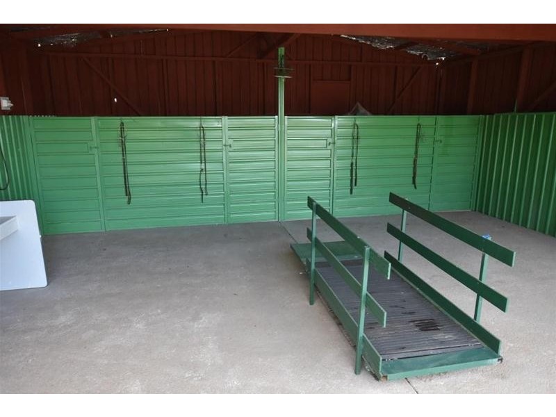 125 Wadleys Road, Reedy Marsh TAS 7304