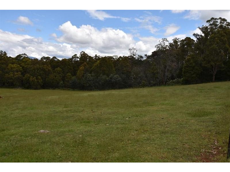 125 Wadleys Road, Reedy Marsh TAS 7304