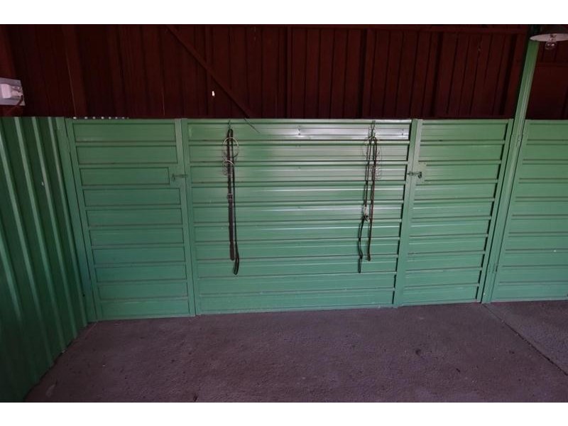 125 Wadleys Road, Reedy Marsh TAS 7304