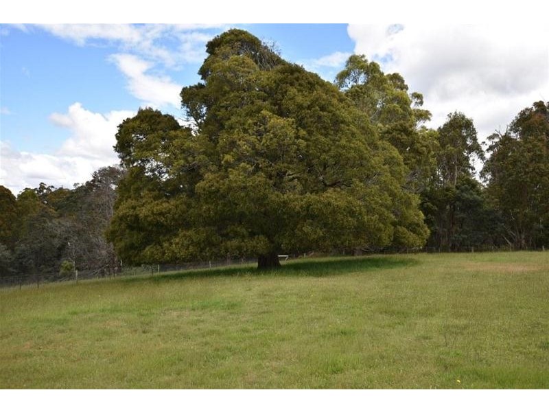 125 Wadleys Road, Reedy Marsh TAS 7304