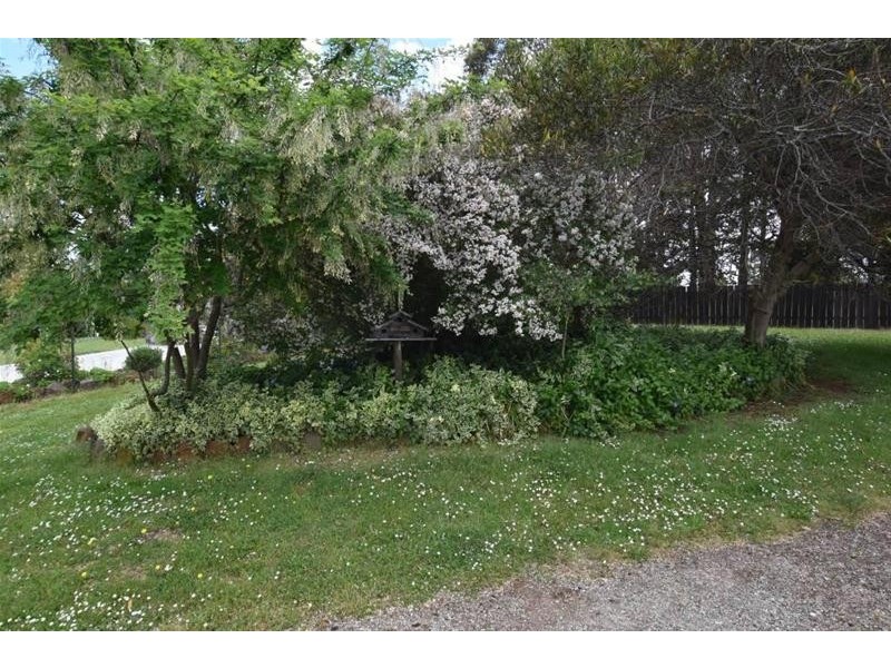 125 Wadleys Road, Reedy Marsh TAS 7304