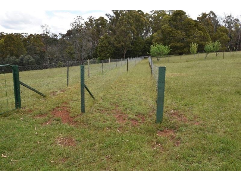 125 Wadleys Road, Reedy Marsh TAS 7304