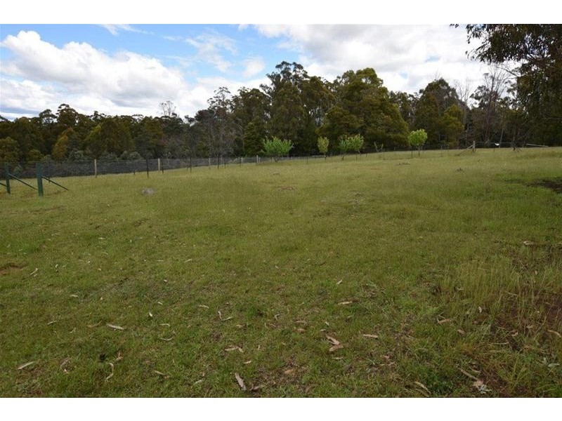 125 Wadleys Road, Reedy Marsh TAS 7304