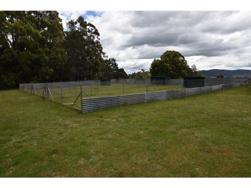 125 Wadleys Road, Reedy Marsh TAS 7304