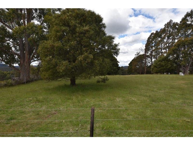 125 Wadleys Road, Reedy Marsh TAS 7304