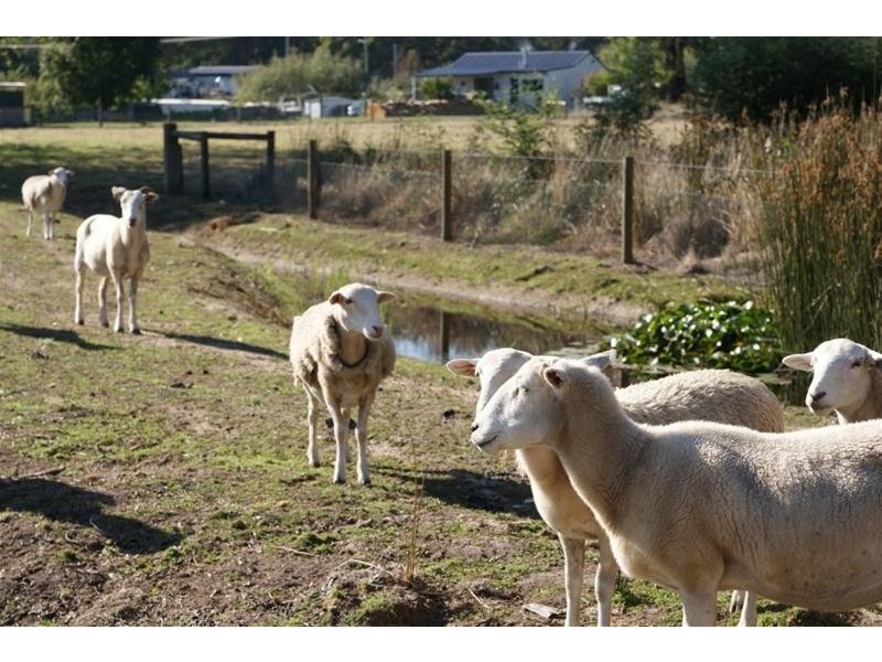 134 Alport Street, Kimberley TAS 7304