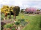 16 Seymour Street, Carrick TAS 7291