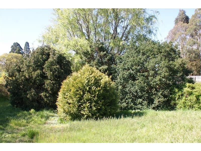 10 Grigg Street, Deloraine TAS 7304