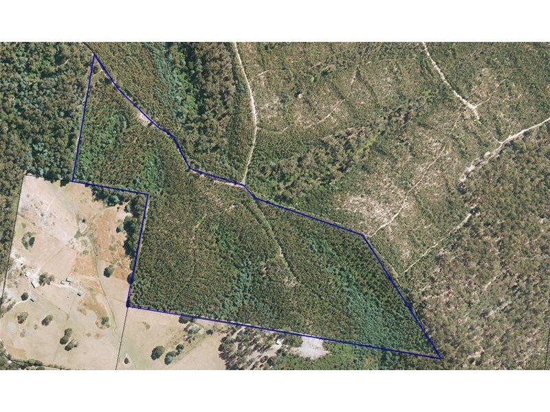 Lot 1  Den Road, Pipers River TAS 7252