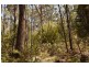 Lot 1  Farrells Road, Reedy Marsh TAS 7304