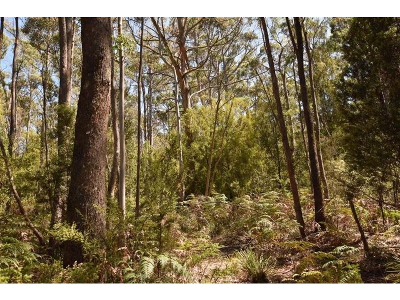 Lot 1  Farrells Road, Reedy Marsh TAS 7304