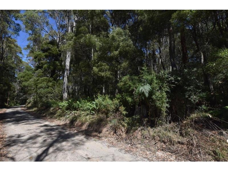 Lot 1  Farrells Road, Reedy Marsh TAS 7304