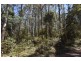 Lot 1  Farrells Road, Reedy Marsh TAS 7304