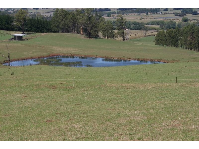 173 River Road, Deloraine TAS 7304