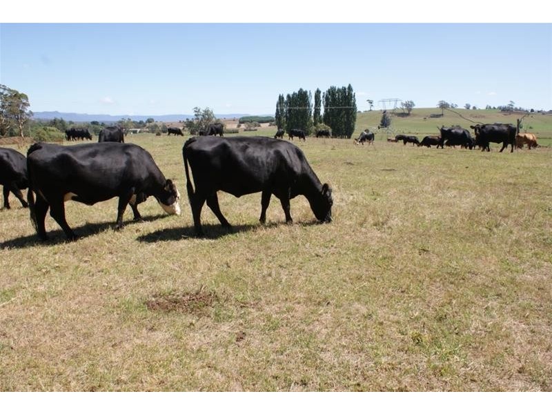 173 River Road, Deloraine TAS 7304