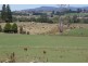 173 River Road, Deloraine TAS 7304