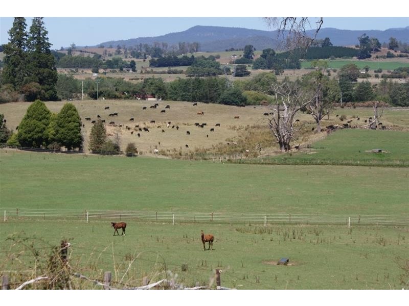 173 River Road, Deloraine TAS 7304